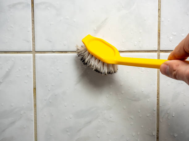 Best DIY Mold Remediation Support Services in Toluca, IL