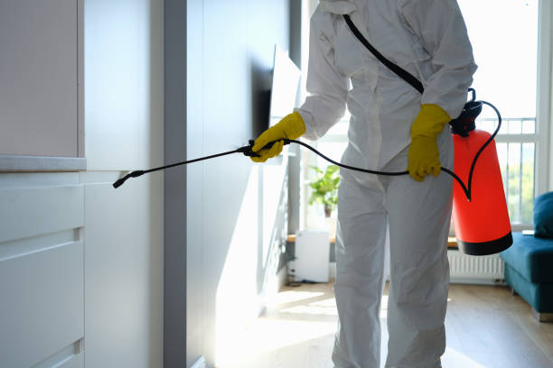 Best Industrial Mold Remediation in Toluca, IL